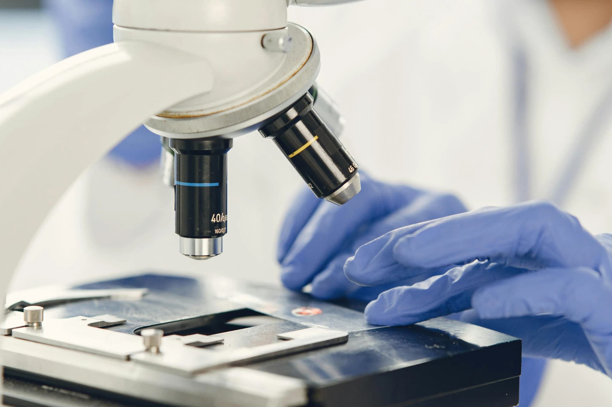How SEO and CRO Delivered a 7× Conversion Increase in Healthcare
